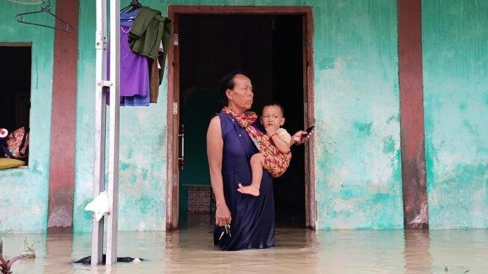 Grobogan diterjang banjir, 500 rumah terendam akibat tanggul sungai tuntang