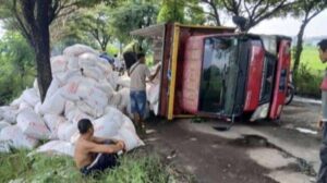 Jalan rusak di winong pati sebabkan truk terguling, muatan kotoran