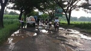 Jalur ekstrem pati rembang, truk angkut tahi ayam kandas